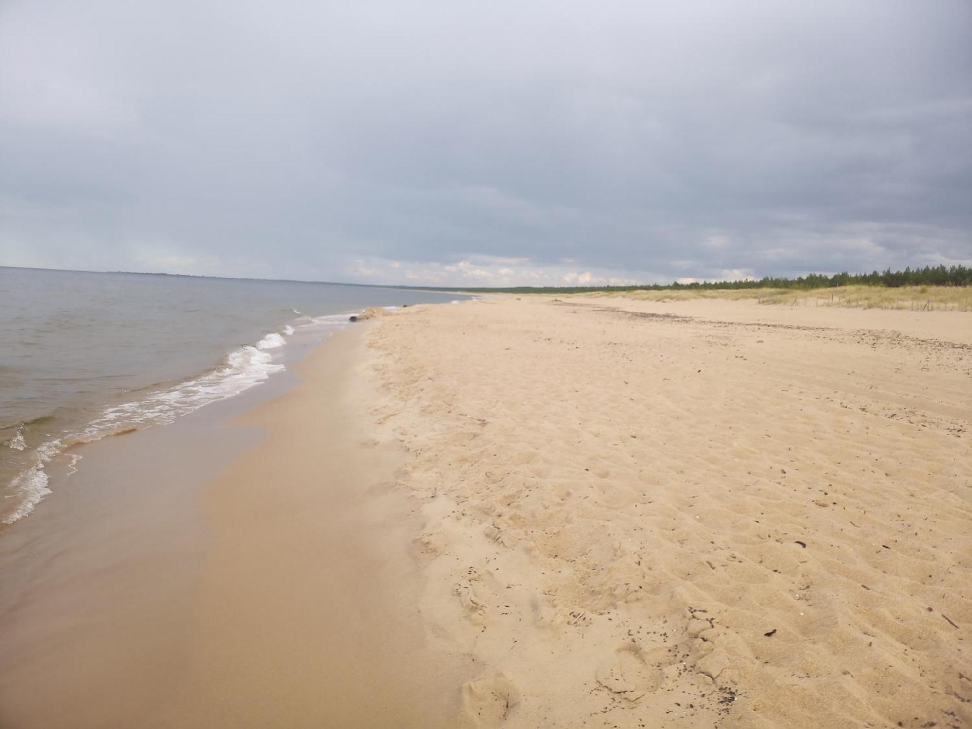 Pokoje Sobie Na Wyspie Danzig Exterior foto